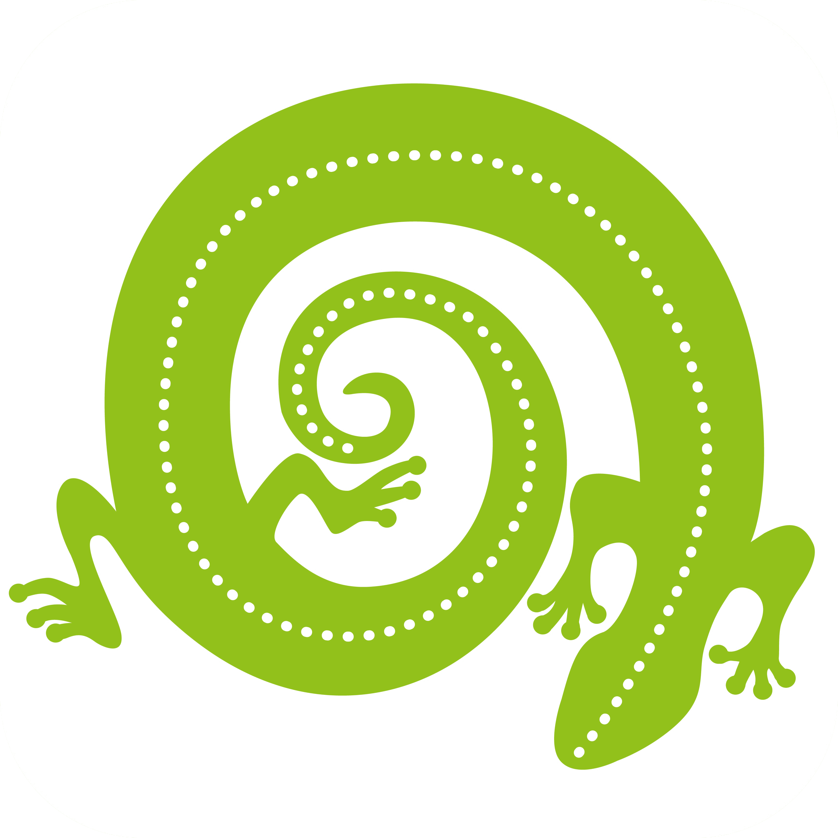 Gecko Vacation Rentals